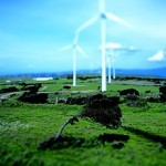 L'eolico offshore favorisce la biodiversità