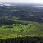 Il Brasile investe nelle fonti rinnovabili