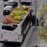 Bus Roots di New York: l’autobus con le piante sul tettuccio