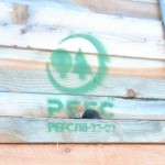 In Trentino Alto Adige: legno certificato sostituisce il cemento 