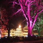 Bio-LED: e gli alberi diventano lampioni