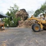 Honduras: impianto a biomasse alimentato da "erba re"